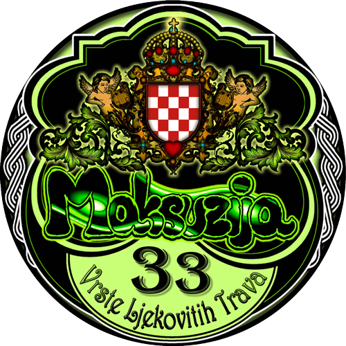 maksuzija-logo-bez-bg